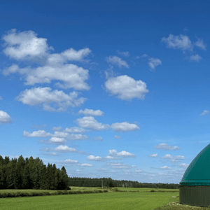 Nordic Biopower oy