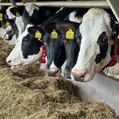 Biokaasun tuotanto luo uusia työpaikkoja maaseudulle.